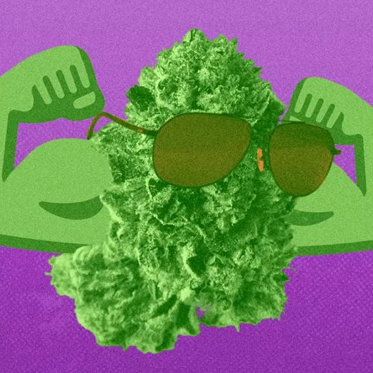 Imagen sin descripción