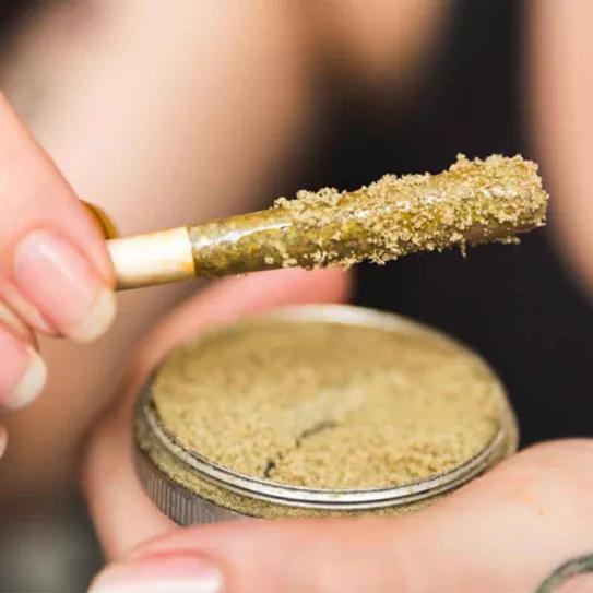 Imagen sin descripción