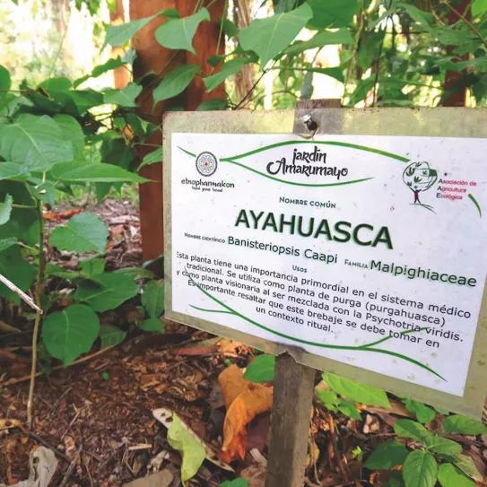 Imagen sin descripción