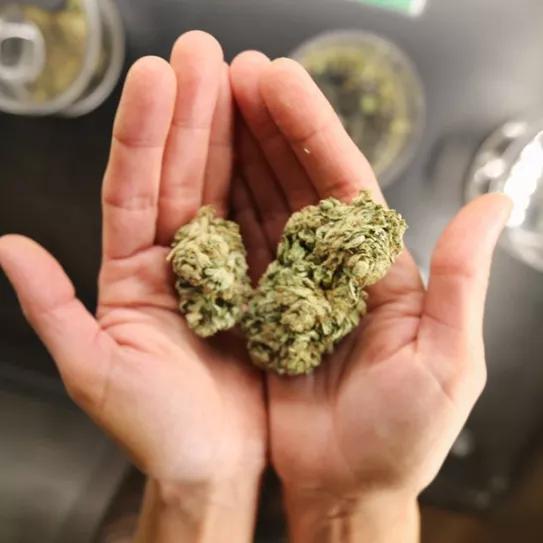 Imagen sin descripción