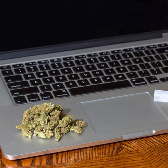 Imagen sin descripción