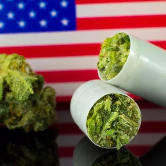 Imagen sin descripción