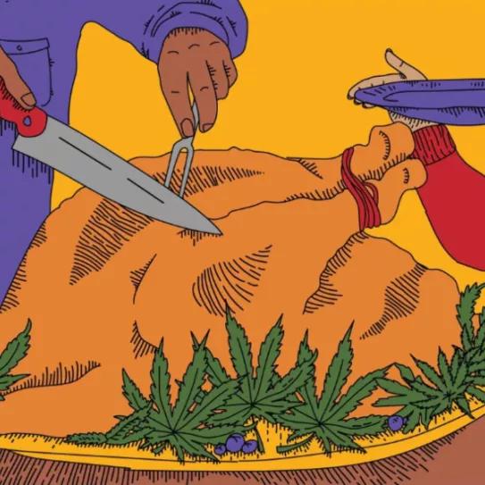 Imagen sin descripción