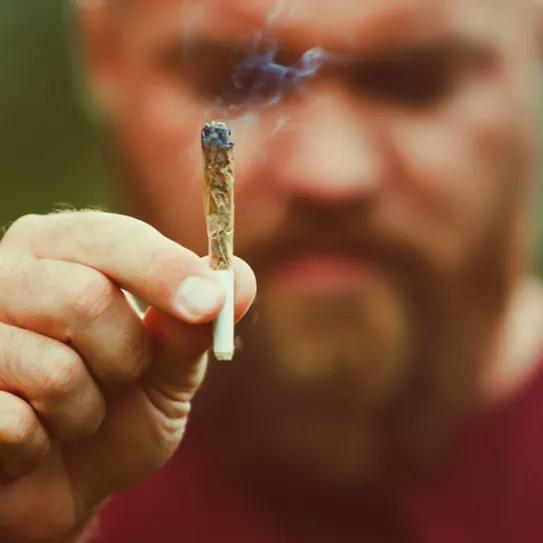 Imagen sin descripción