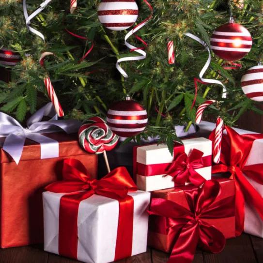 Imagen sin descripción