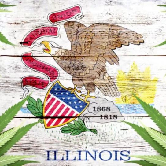 Imagen sin descripción