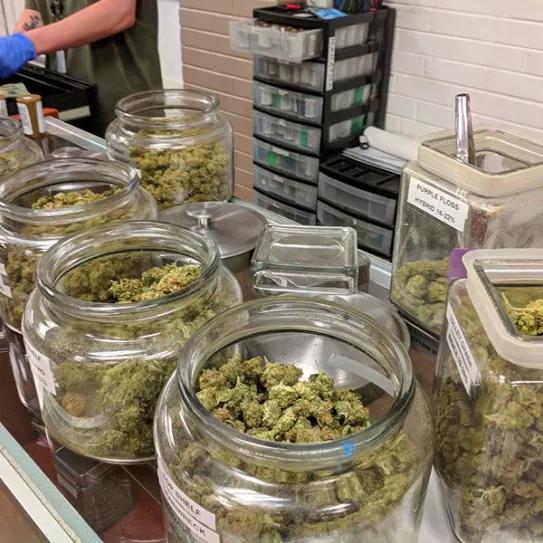 Imagen sin descripción