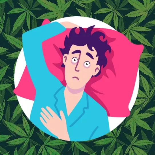 Imagen sin descripción