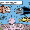 Peixes Loucos - Abarrots