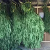 Pillan a una persona después de que diese un tour guiado a la policía por su granja de cannabis