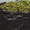<blockquote class="twitter-tweet"><p lang="ca" dir="ltr">Un traficant es desplaça en patinet amb una bossa d&#39;escombraries on amagava 15 kg de marihuana al districte de Sant Martí (BCN). L&#39;enxampem i el detenim <a href="https://t.co/feK0dDLeOq">https://t.co/feK0dDLeOq</a> <a href="https://t.co/ORnWlJPs0r">pic.twitter.com/ORnWlJPs0r</a></p>&mdash; Mossos (@mossos) <a href="https://twitter.com/mossos/status/1262630916029059072?ref_src=twsrc%5Etfw">May 19, 2020</a></blockquote> <script async src="https: