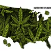 Los estaudinidenses que votaron a favor de legalizar no se arrepienten de ello