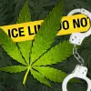 Virginia descriminaliza las pequeñas cantidades de cannabis el 1 de julio