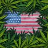 Policía de Austin ya no arrestará por posesión de marihuana