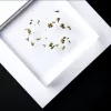 Drogas, Análisis