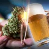 Variedades de cannabis que casan con tu bebida favorita