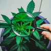 7 Mitos sobre la marihuana que resulta que no lo son