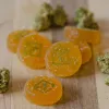Se aprueba la venta de comestibles de marihuana en Florida