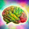 ¿La marihuana es la puerta a la creatividad?