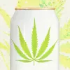 9 bebidas cannábicas