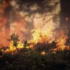 Incendio