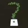 La planta de cannabis según la Convención Única sobre Estupefacientes de 1961: la interpretación oficial