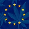 La Justicia Europea considera ilegal la prohibición del CBD en Francia