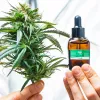 Las farmacias argentinas podrán elaborar su propio aceite de cannabis 
