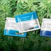 La Junta de Drogas de Uruguay estudiará la venta de cannabis a turistas