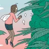 Diez claves para tener éxito en el cultivo de exterior 