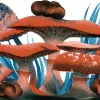 Esclerocios 