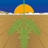 Lunario de febrero del 2021 
