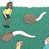 Diez consejos para la germinación y el primer crecimiento 