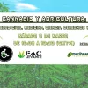Dos asociaciones de cannabis terapéutico organizan una jornada formativa en Villa Real