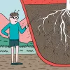El cannabis come por los pies: doce pasos para mantener sanas las raíces