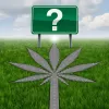 El Senado mexicano pide (de nuevo) una prórroga para aprobar la regulación del cannabis