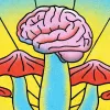 Un estudio con psilocibina concluye que es tan buen antidepresivo como el escitalopram