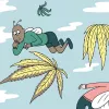 Los seis problemas más comunes del cultivo y sus soluciones 