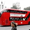 “Si estás leyendo esto tienes un sistema endocannabinoide”, anuncia una agencia británica 