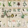 Los pueblos indígenas guardan un conocimiento medicinal sobre plantas inédito que va a perderse