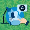La protección de datos sobre los cultivadores de cannabis se disputa en Uruguay