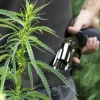 Un informe de los Mossos alerta del aumento de la violencia por el cannabis ilegal