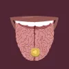 La MDMA en psicoterapia 