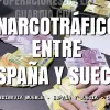 La policía acaba con dos redes de cultivo y exportación  de cannabis a Polonia y Suecia 