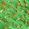 Una cuarta ciudad de Massachusetts se suma a la reforma de las drogas