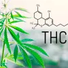 La Unión Europea aumenta el límite de THC para las semillas de cáñamo hasta el 0,3%