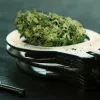 Colorado indulta a 1351 condenados por posesión de cannabis