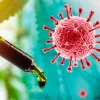 El CBDA y el CBGA resultan útiles para prevenir la infección por covid-19 en un estudio