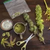 Una comisión del Senado chileno aprueba el autocultivo medicinal