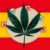 La Subcomisión del cannabis medicinal se reunirá cada dos semanas para tener un informe de regulación en junio